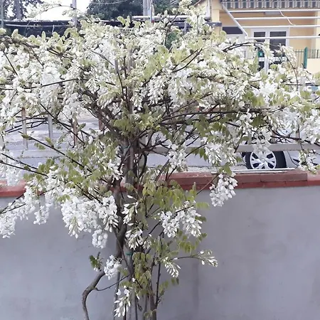 Le Bagnanti Di Miro' * Terracina