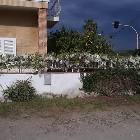 Le Bagnanti Di Miro' Terracina