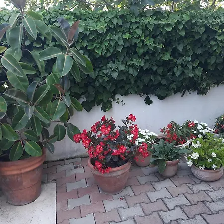 Le Bagnanti Di Miro' * Terracina